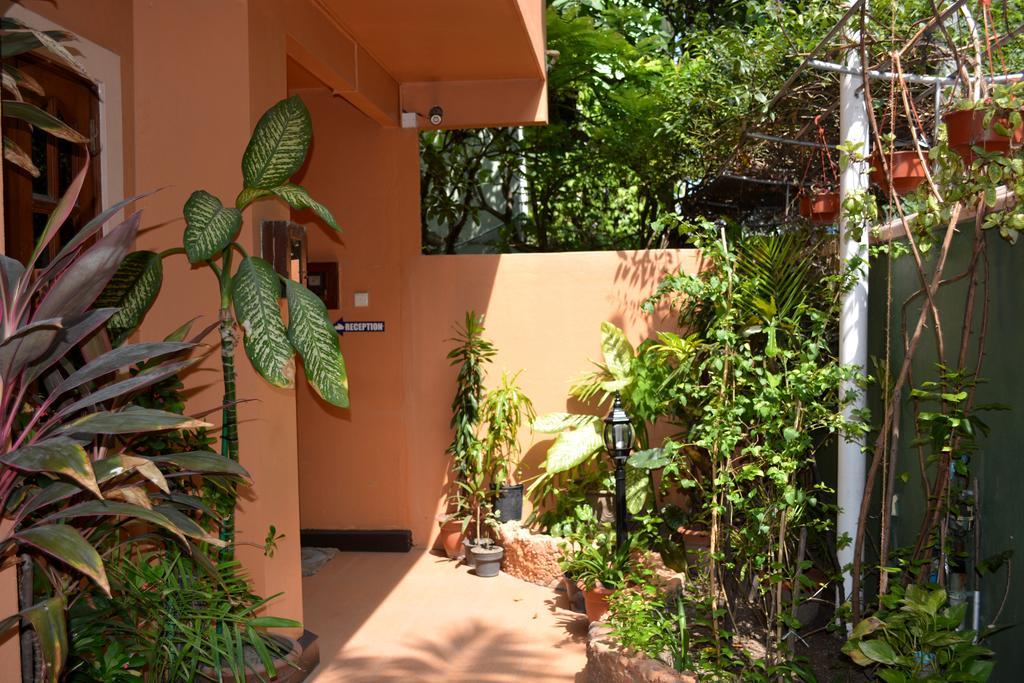 Skai Lodge Male Exterior photo